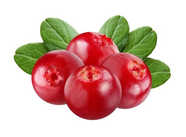 Cranberry - composición de Uromexil