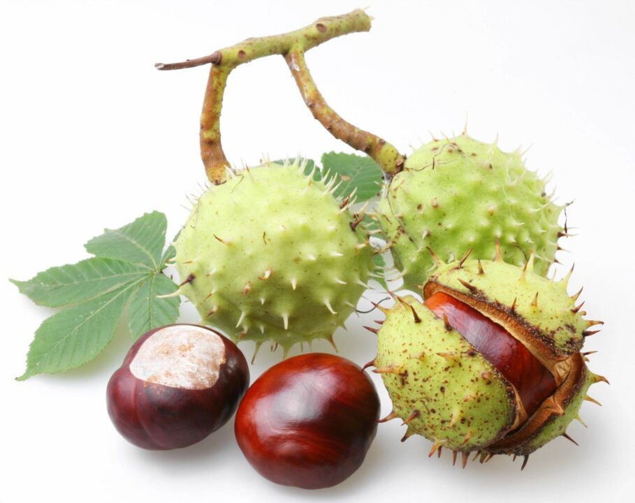 Casca de castaña para o tratamento da prostatite